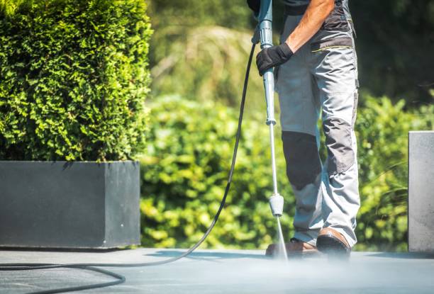 Best Warehouse Cleaning  in Rapid City, MI
