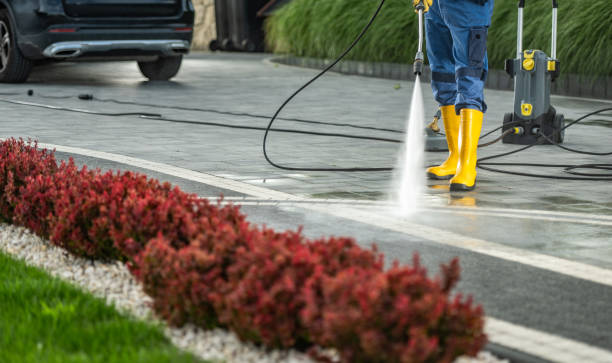 Best Solar Panel Cleaning  in Rapid City, MI