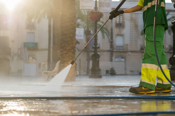 Best Roof Washing  in Rapid City, MI