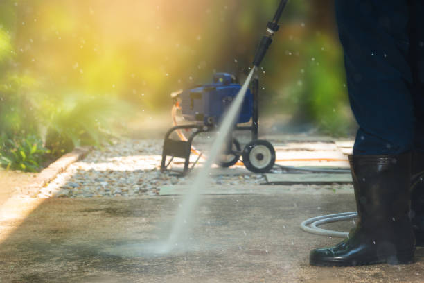 Best Soft Washing  in Rapid City, MI